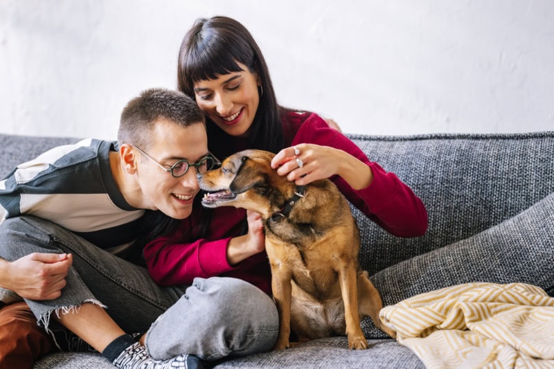 Young couple playing with dog on couch to represent information on the different types of furnaces.