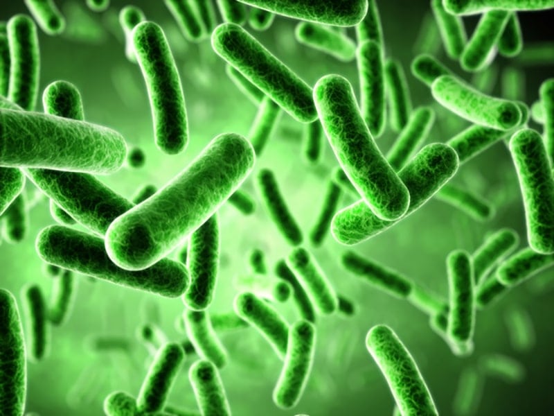 Bacteria Growing Inside of A Furnace