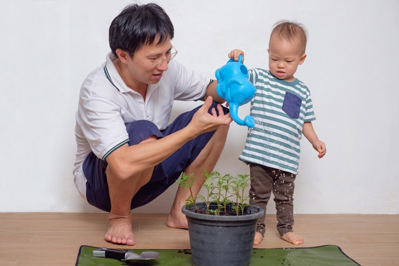 Father teaching child how to water a plant to represent info on how to go green with your HVAC system.