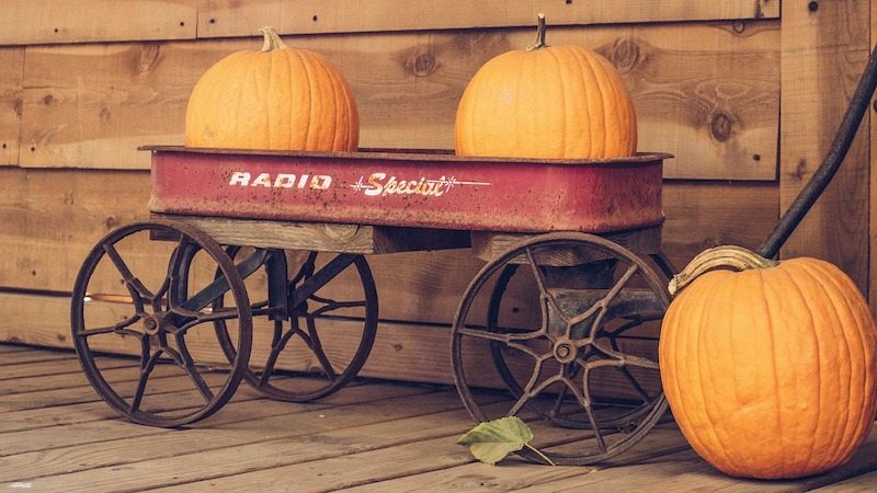 Two pumpkins in a red wagon in Marlborough